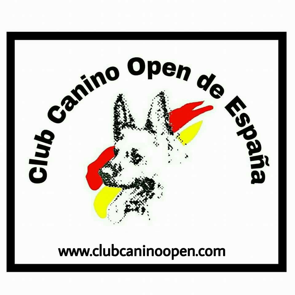 Club Canino Open de España, en Zaragoza